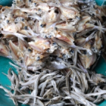 Torkad fisk Thailand